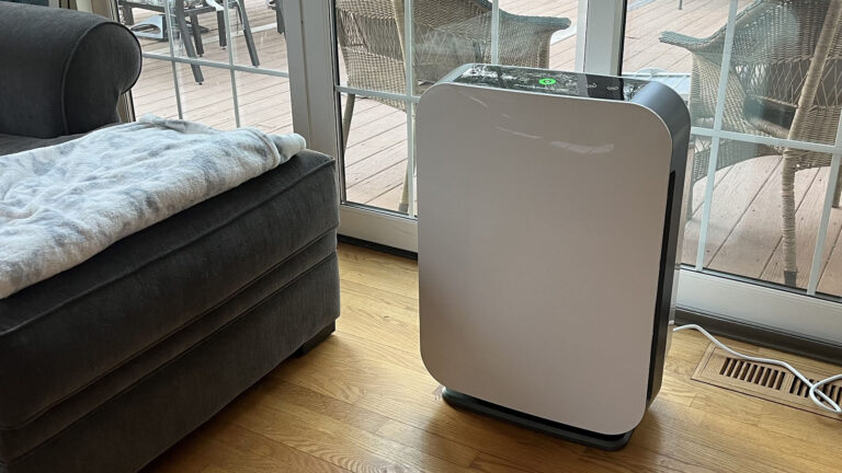 5 things to look for in an air purifier for hay fever