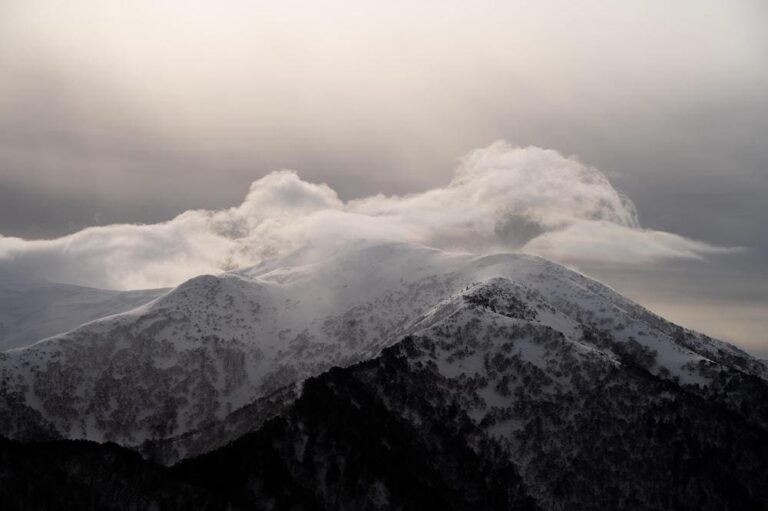 Cloud Native AI Enters Its Production Era